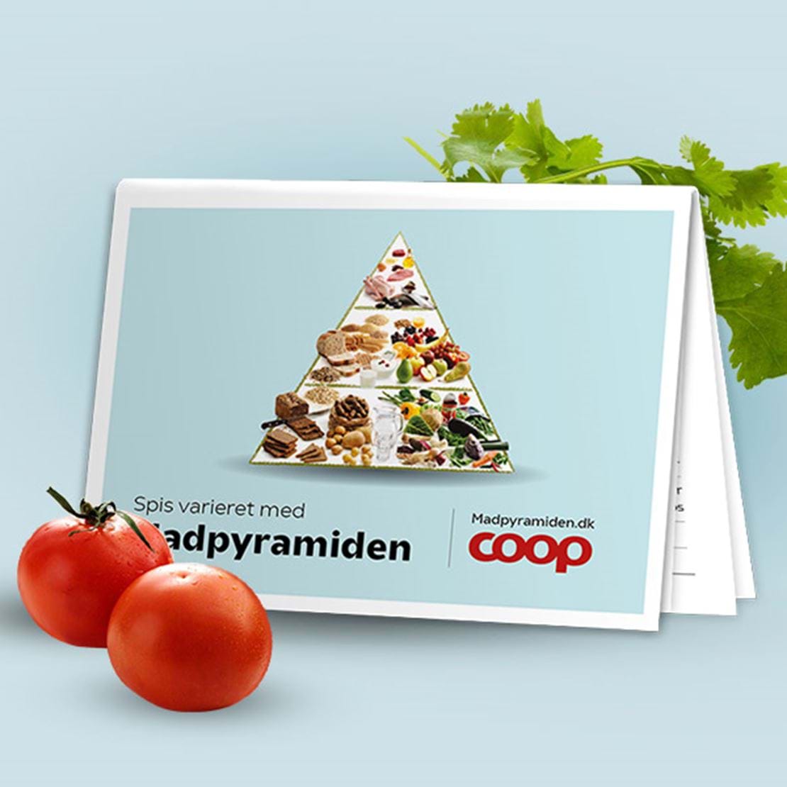 800x600_IndkøbsguideDeco.jpg (1)